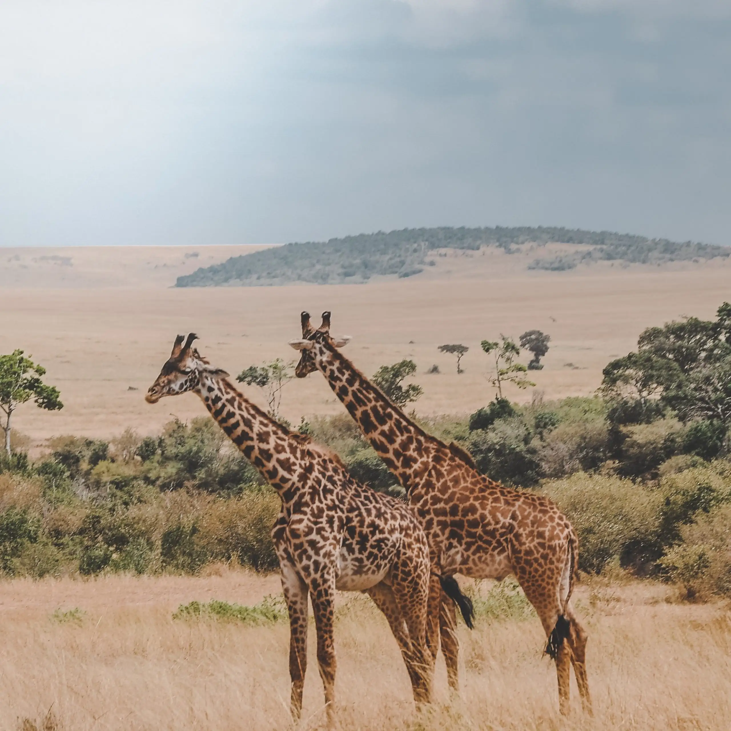 ADVENTURE SAFARI TO MAASAI MARA