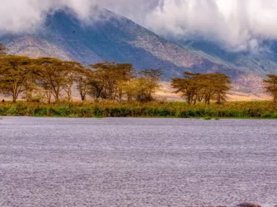 SAFARI TO LAKE NAKURU - MT KENYA PARK