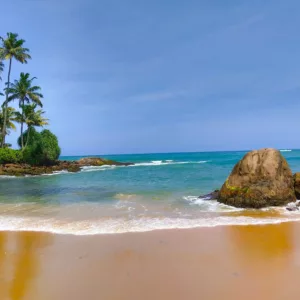 7 Day Blue Whales and Wildlife Safari in Sri Lanka