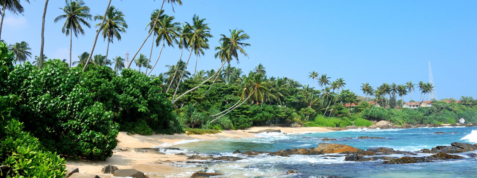 tropical-beach-with-palm-sri-lanka-1